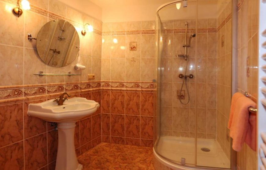 Hotel Purkyne