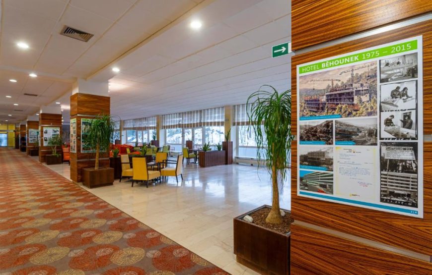 Hotel Behounek