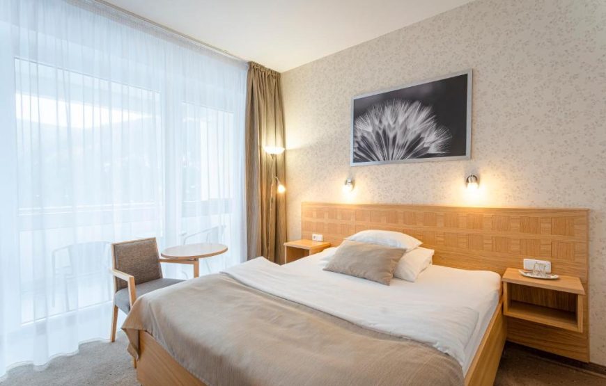 Hotel Behounek