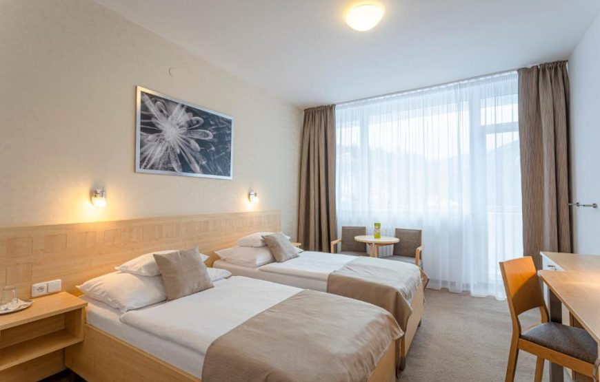 Hotel Behounek