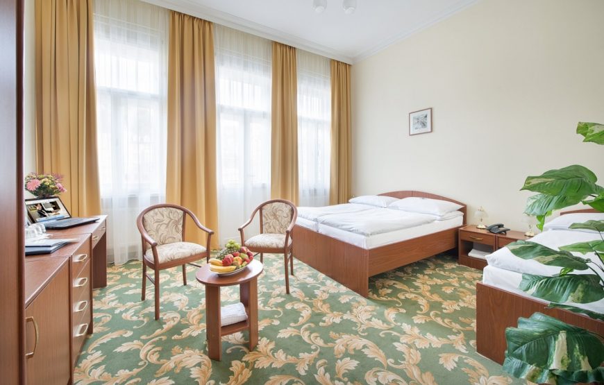 Hotel Elefant