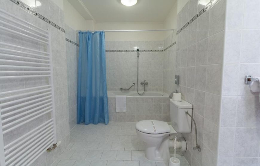 Hotel Svoboda