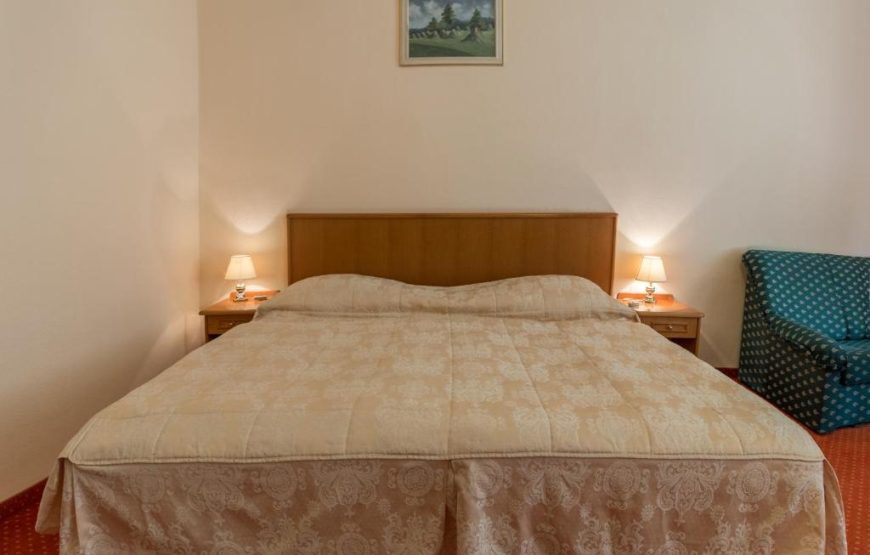 Hotel Svoboda