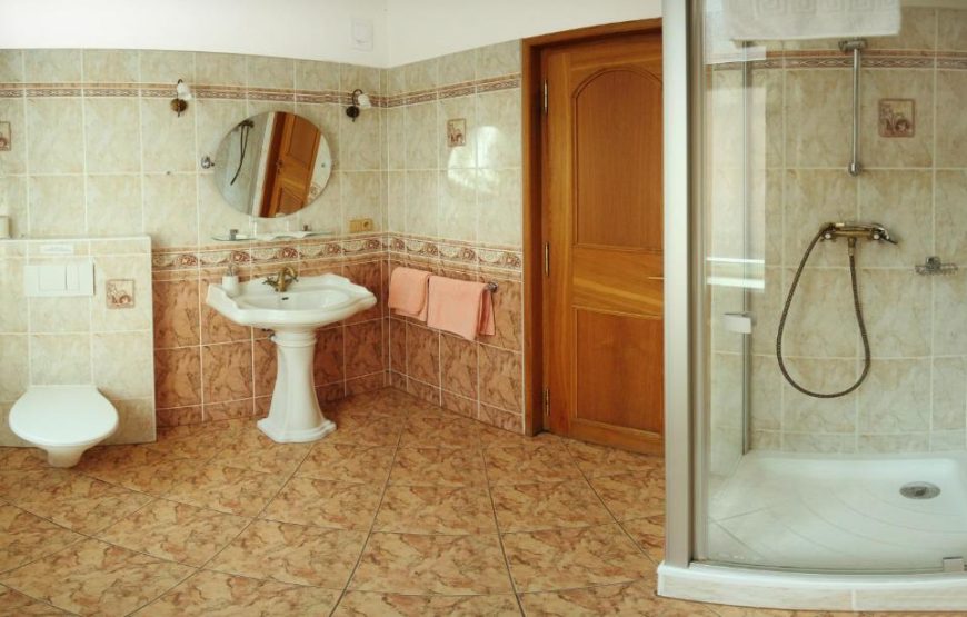 Hotel Purkyne