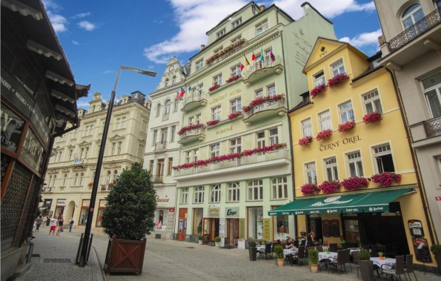 Hotel Purkyne