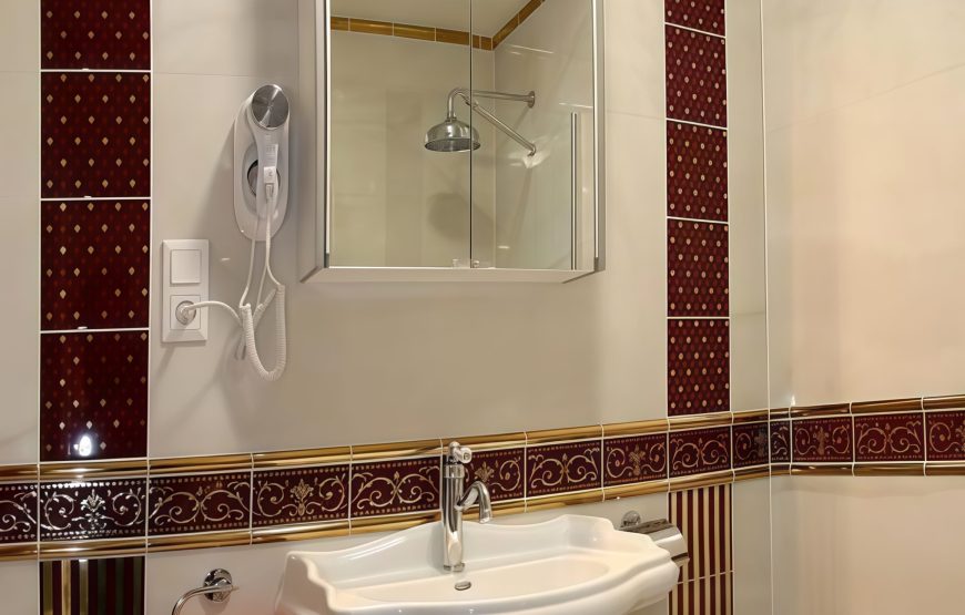 Hotel Purkyne
