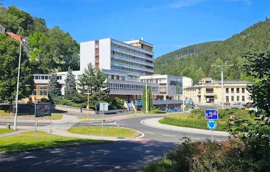 Spa Hotel Dalibor