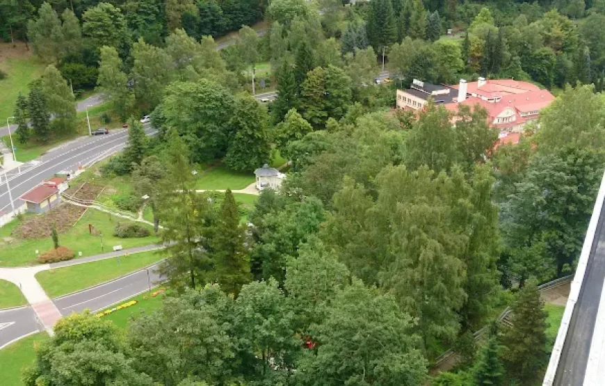 Spa Hotel Dalibor