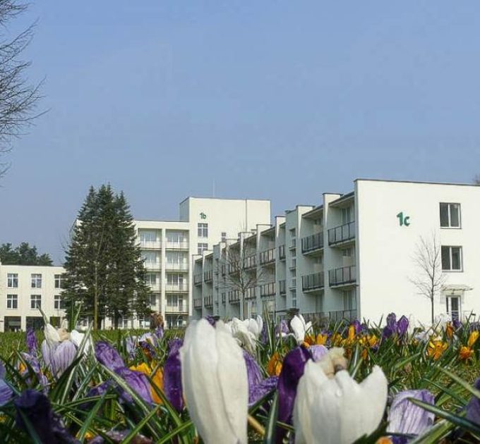 Egle Standard Druskininkai