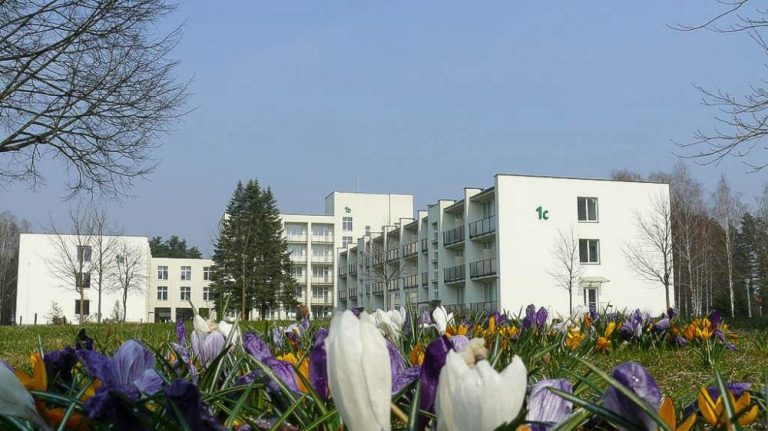 Egle Standard Druskininkai
