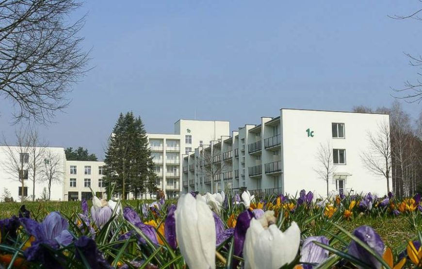 Egle Standard Druskininkai