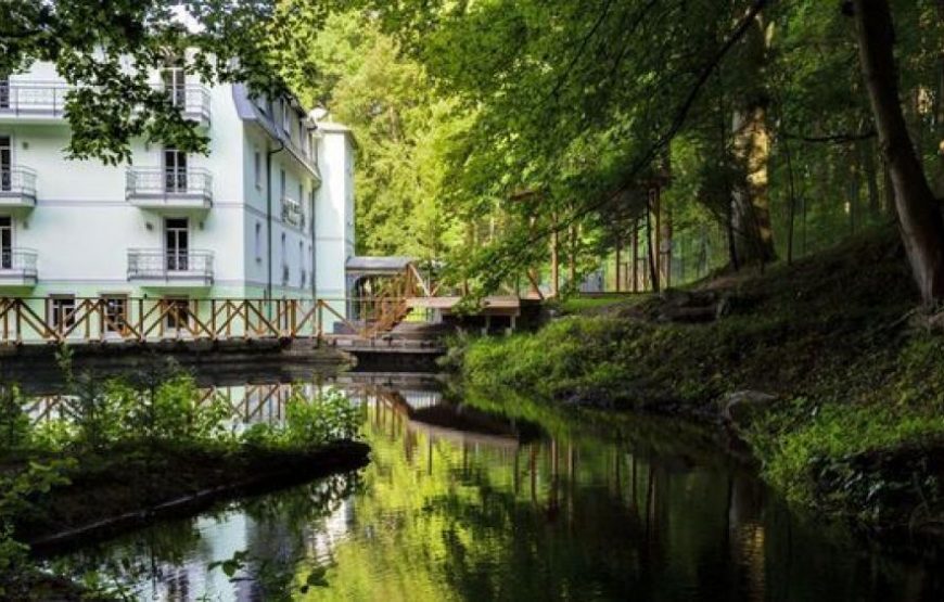 Forest